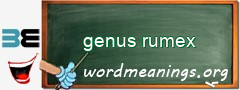 WordMeaning blackboard for genus rumex